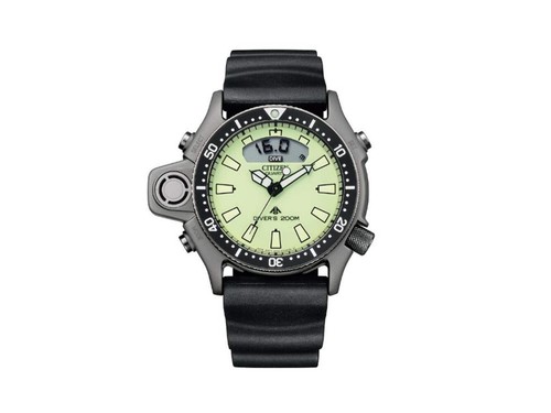 Reloj cuarzo citizen - reloj,