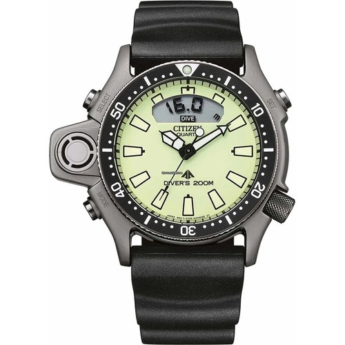 Citizen promaster jp2007 17w - promaster, jp2007-17w